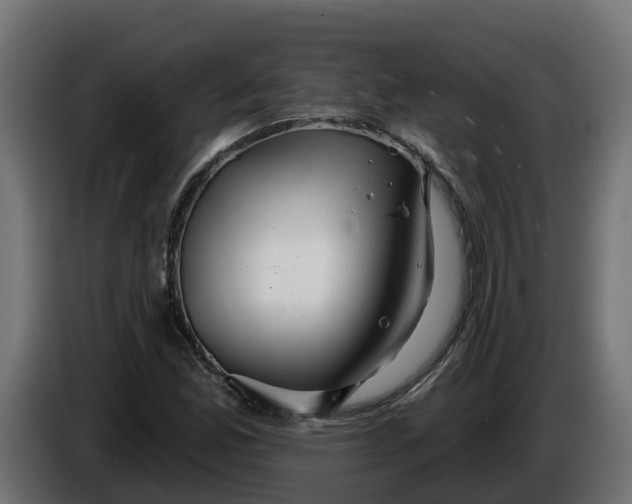 X0000086321165200704131647