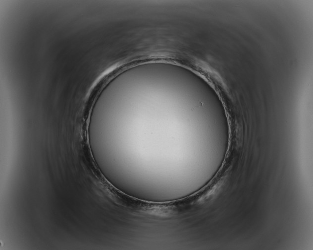 X0000086321166200704131647