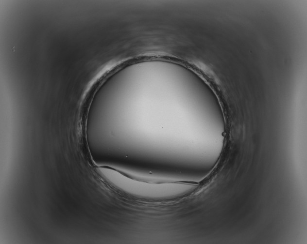 X0000086321167200704131647