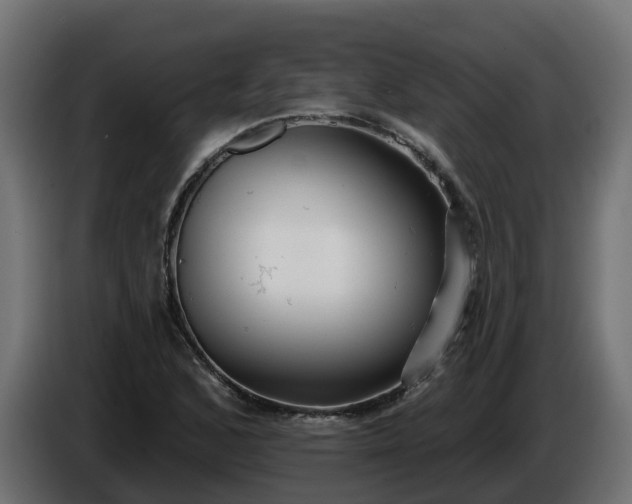 X0000086321168200704131647