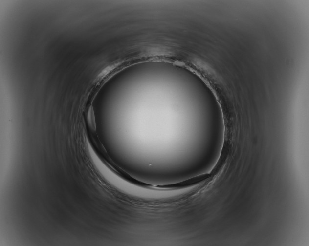 X0000086321169200704131647