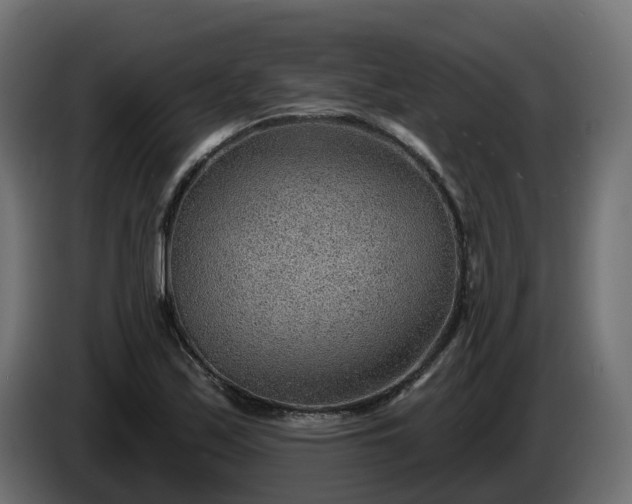 X0000086321171200704131647