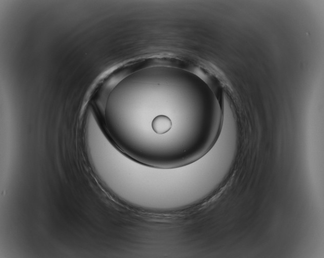 X0000086321172200704131647