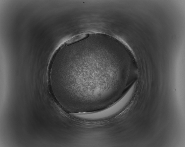 X0000086321173200704131647