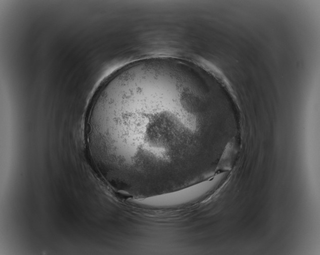 X0000086321174200704131647