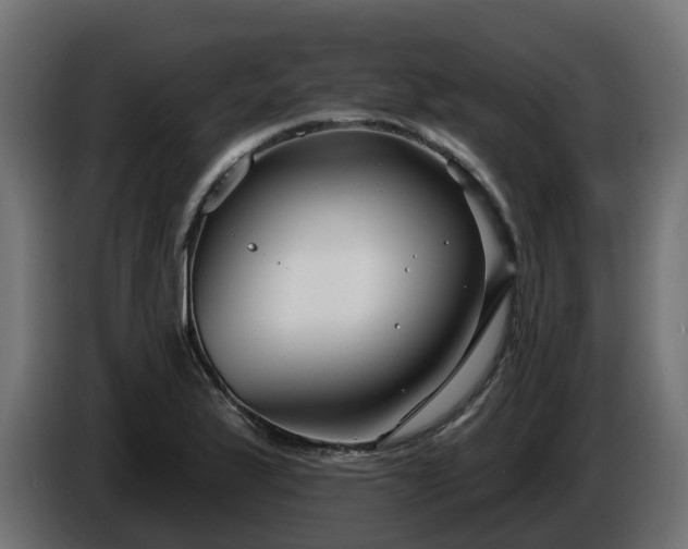 X0000086321175200704131647