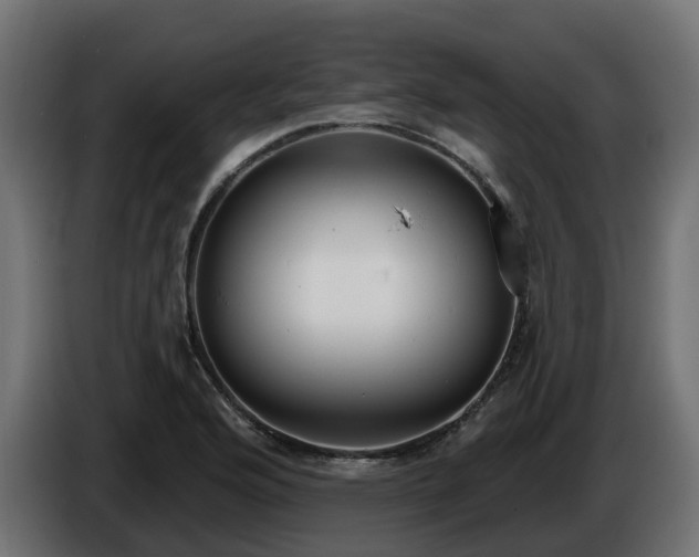 X0000086321176200704131647