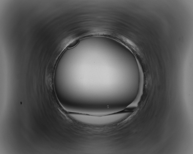 X0000086321177200704131647