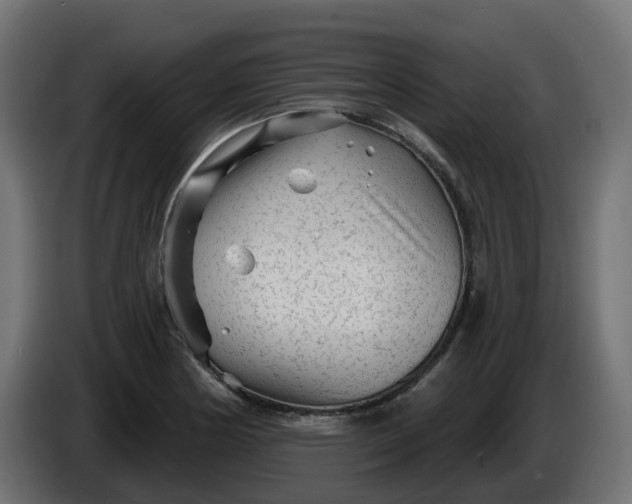 X0000086321178200704131647