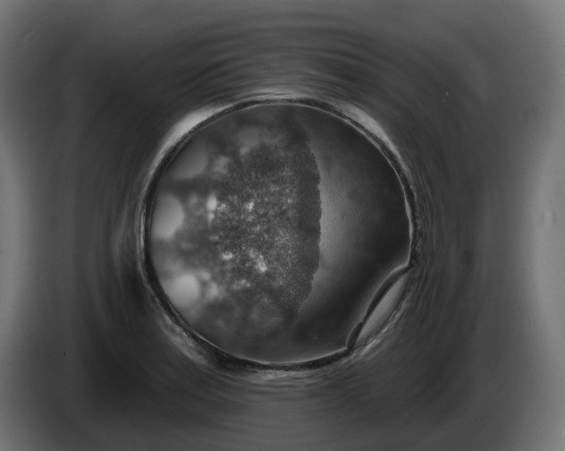 X0000086321179200704131647