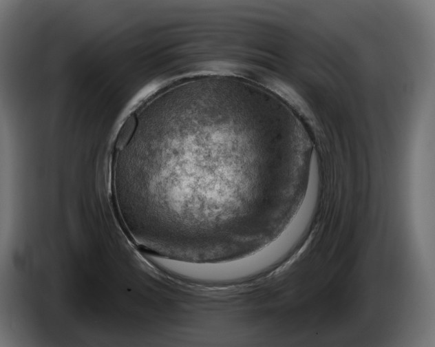 X0000086321180200704131647