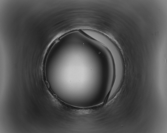 X0000086321181200704131647