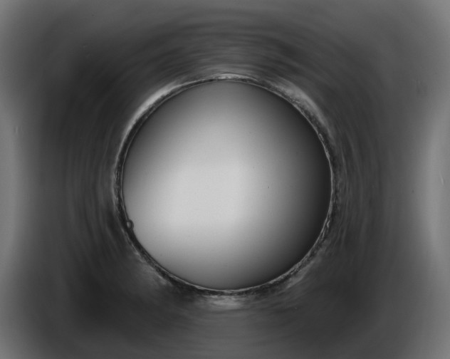 X0000086321182200704131647