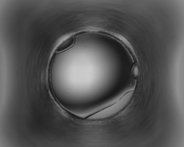 X0000086321183200704131647