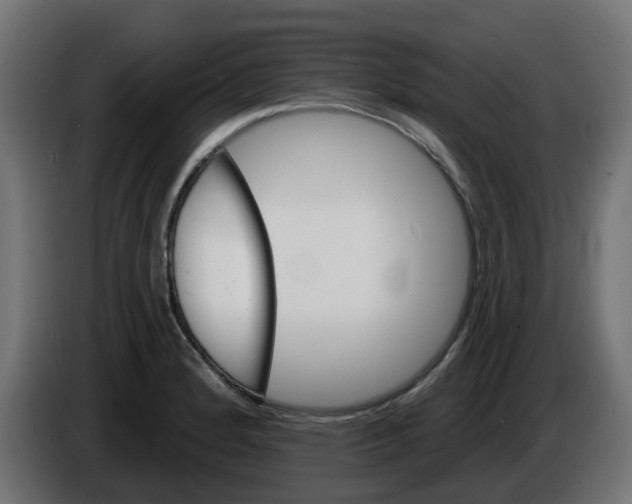 X0000086321184200704131647