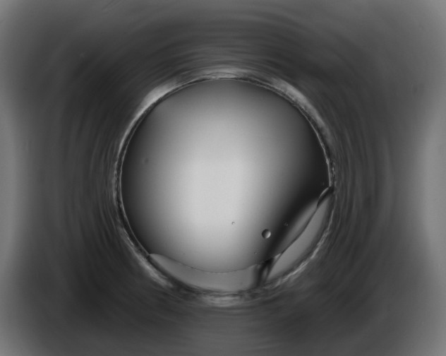 X0000086321186200704131647