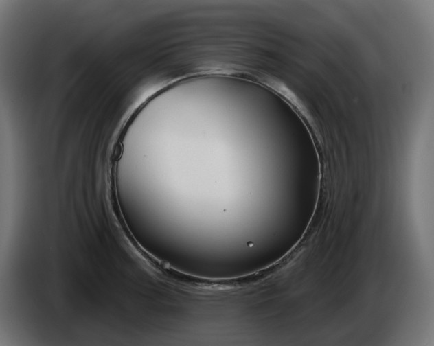 X0000086321187200704131647