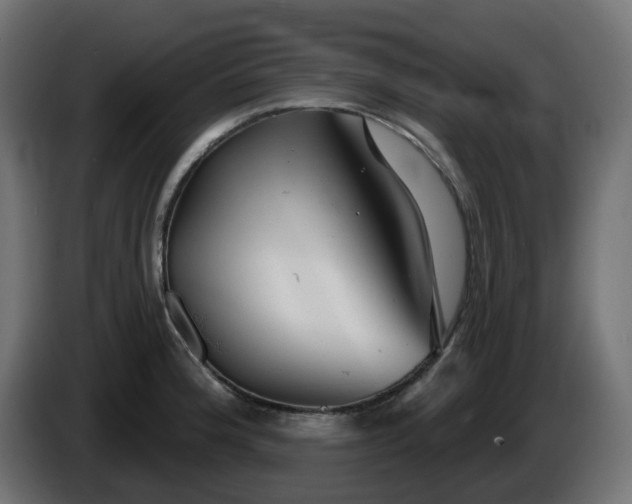 X0000086321188200704131647