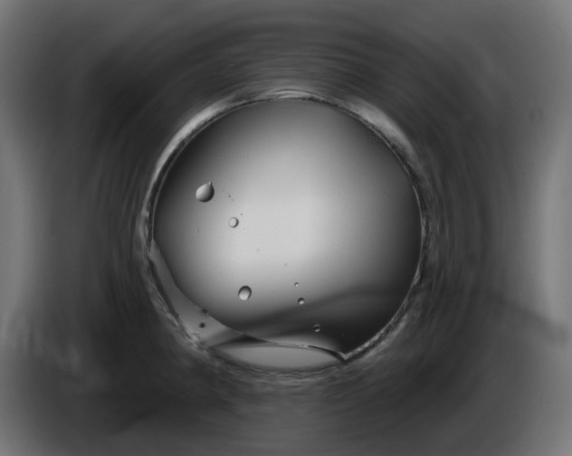 X0000086321190200704131647