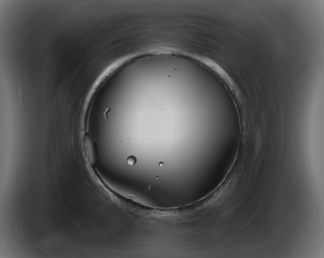 X0000086321191200704131647