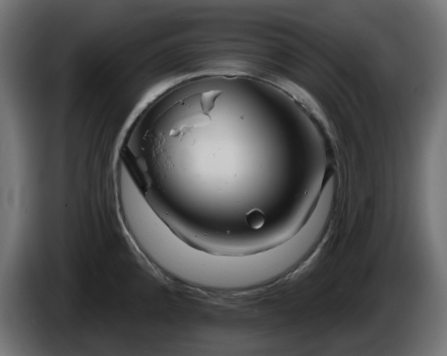 X0000086321192200704131647