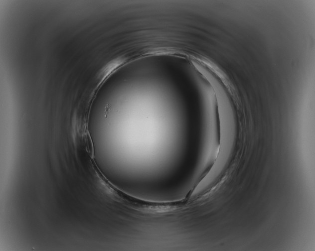 X0000086321193200704131647