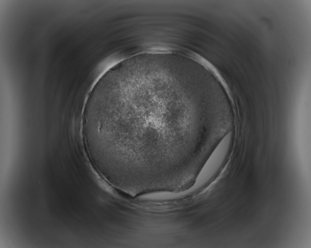 X0000086321194200704131647