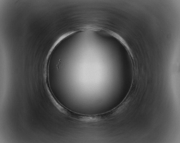 X0000086321195200704131647