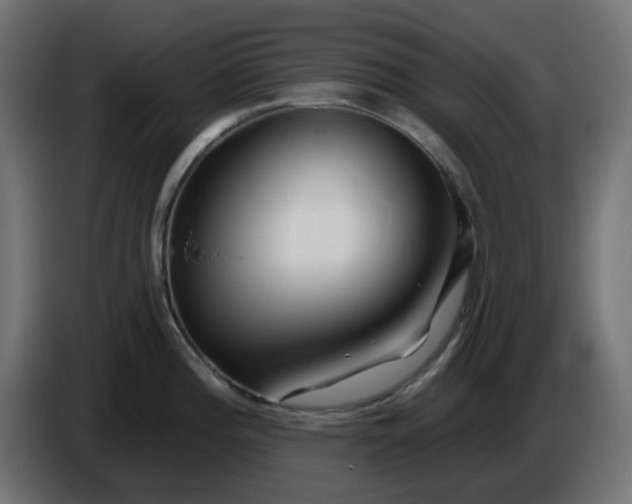 X0000086321196200704131647