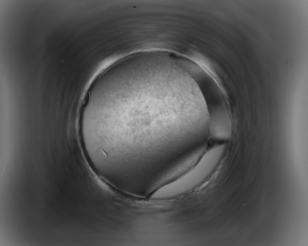 X0000086321197200704131646