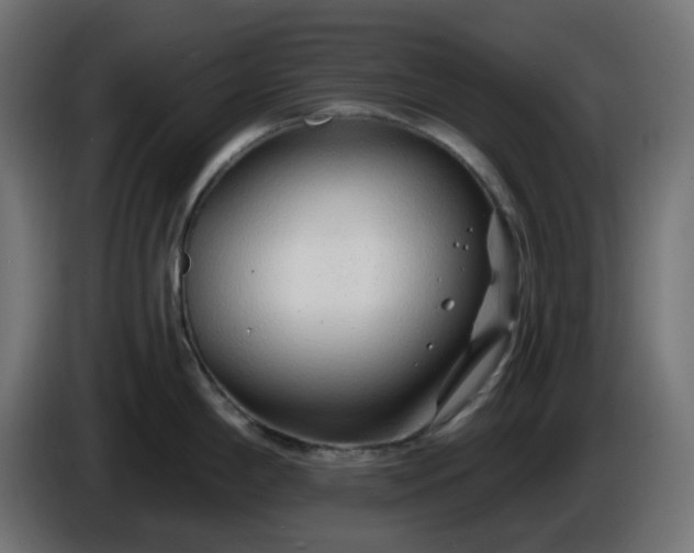 X0000086321198200704131646