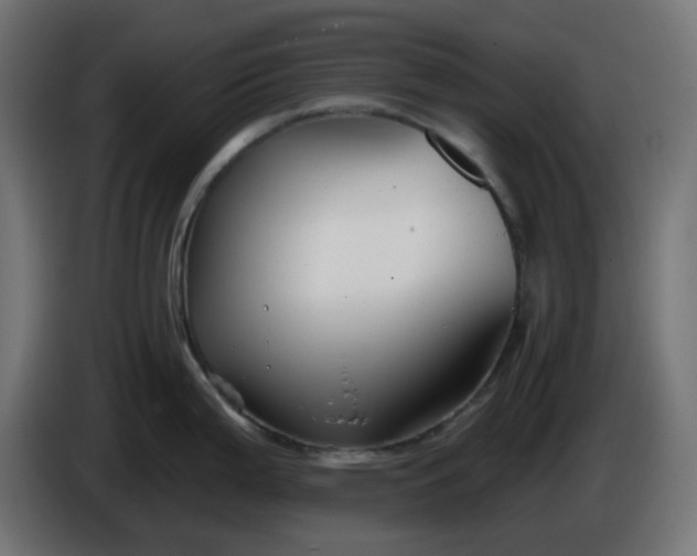 X0000086321199200704131646