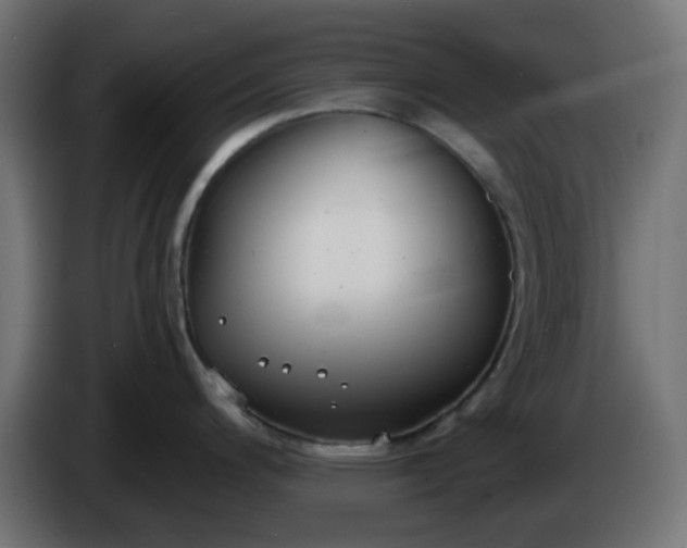 X0000086321200200704131646