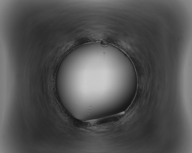 X0000086321201200704131646