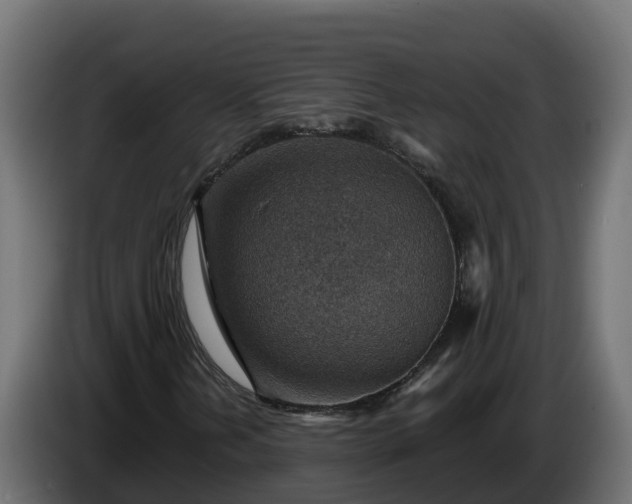 X0000086321202200704131646