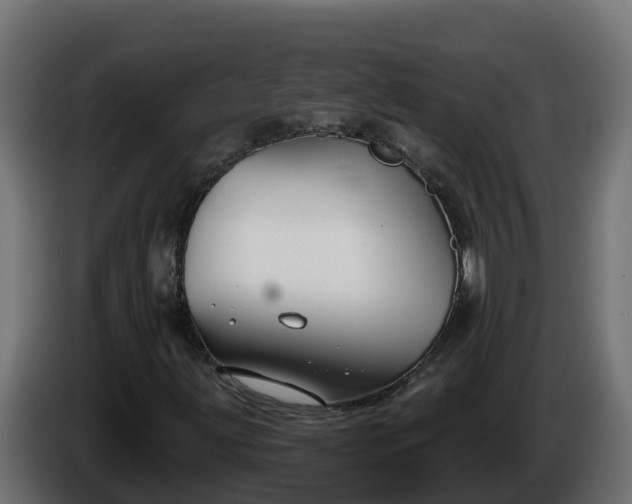 X0000086321203200704131646