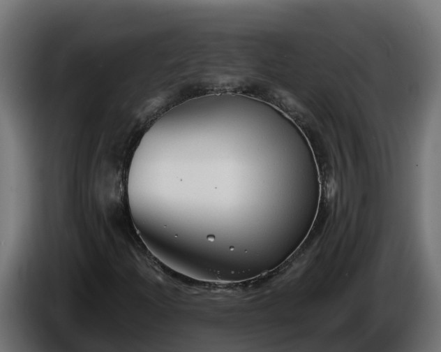 X0000086321204200704131646