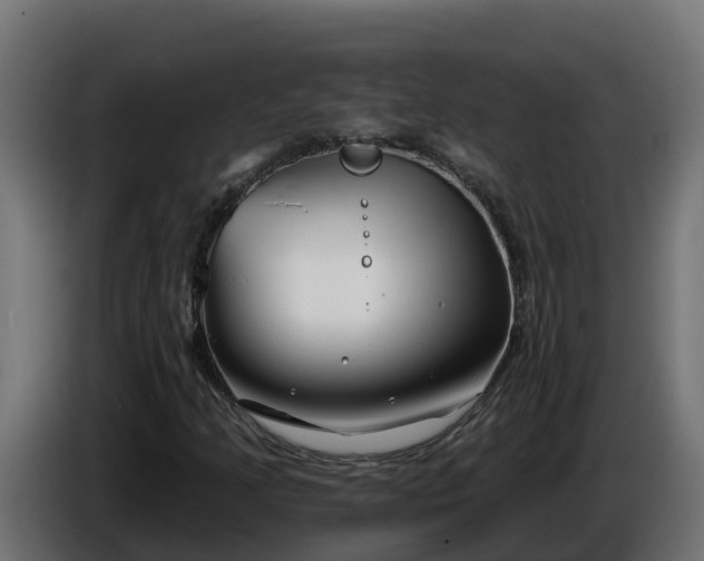 X0000086321205200704131646