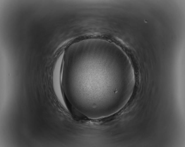 X0000086321206200704131646