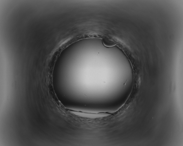 X0000086321207200704131646