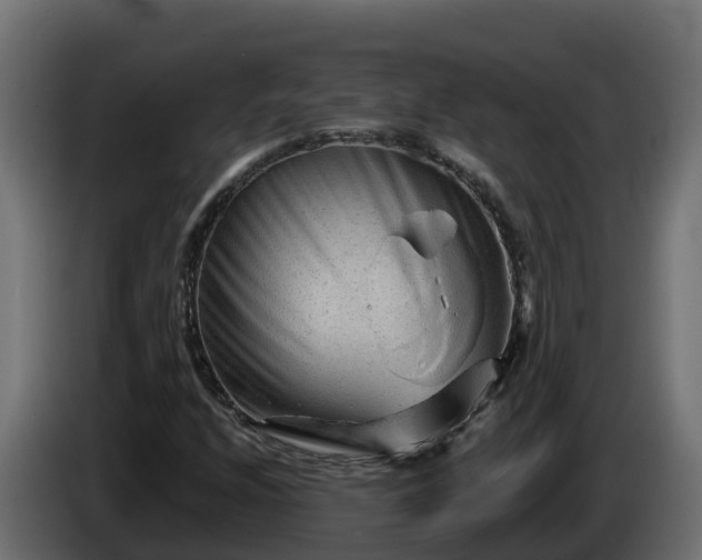 X0000086321208200704131646