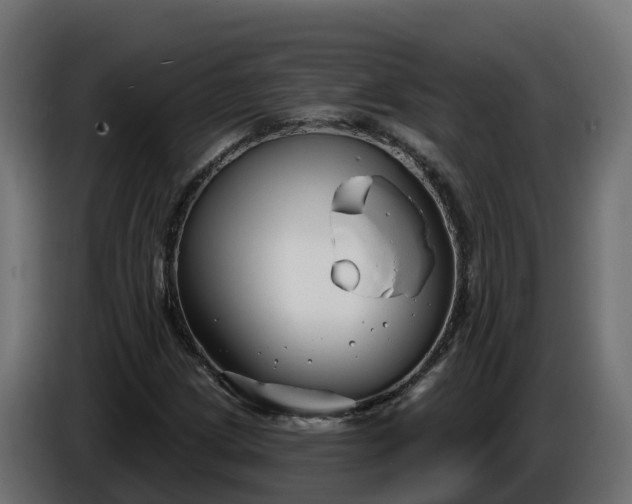 X0000086321209200704131646