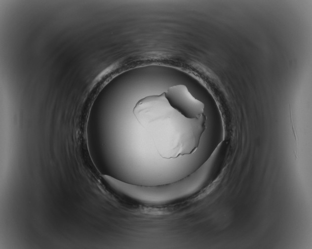 X0000086321210200704131646