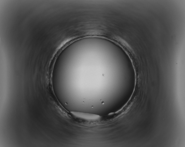 X0000086321212200704131646