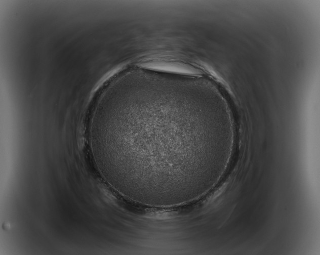 X0000086321213200704131646