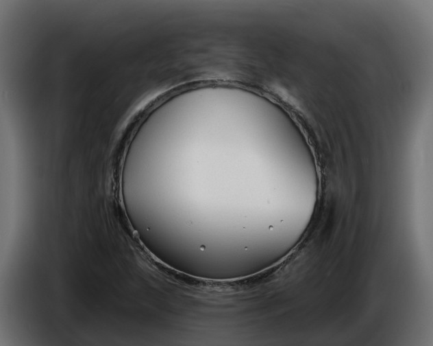 X0000086321215200704131646