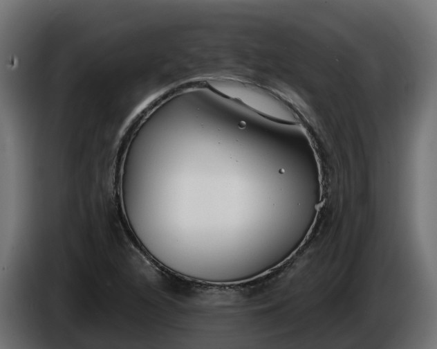 X0000086321216200704131646