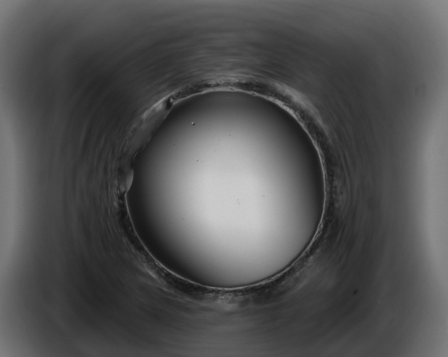 X0000086321217200704131646