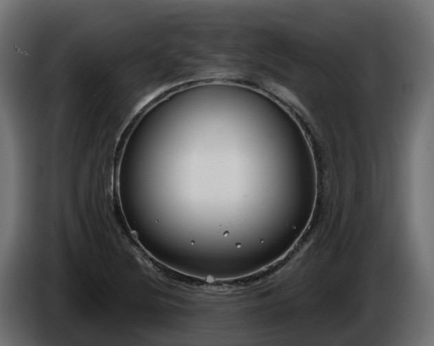 X0000086321220200704131646