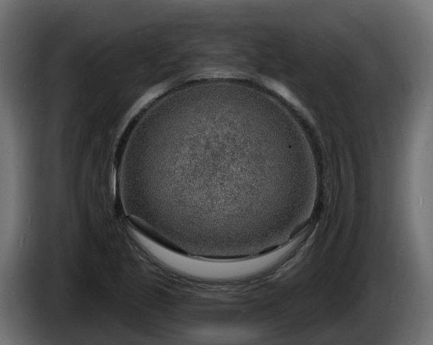 X0000086321221200704131646